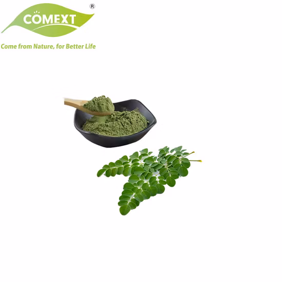 Comext Boost Immunity 100% Erva Natural Pterigospermina, Moringina, Moringinina Espiroquina 4 ~ 20: 1 Grau Cosmético / Extrato de Folha de Moringa para Alimentos Saudáveis