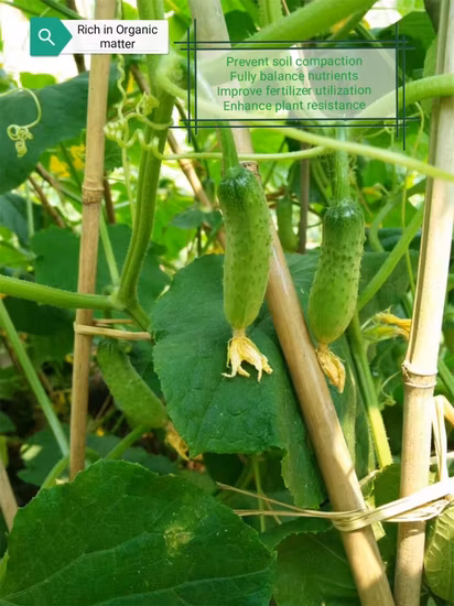 Fonte de soja composto fertilizante solúvel em água planta natural origem vegetal 80% aminoácido